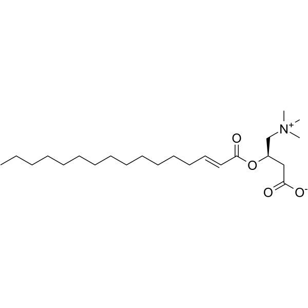 trans-2-Hexadecenoyl-L-carnitine 26145-55-1